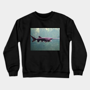 fish, ocean, marine life, ray, shark, stingray- sawfish Crewneck Sweatshirt